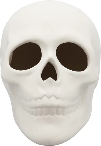 Creative Hobbies Bisque de cerámica listo para pintar, calavera de 5 pulgadas de largo x 4 pulgadas de alto, incluye cómo pintar tu propio folleto
