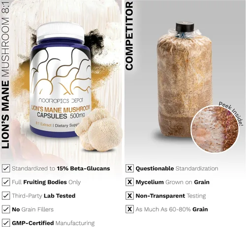 Miniatura 5 de Nootropics Depot Cápsulas de hongos melena de leones Extracto dual de cuerpo fructífero completo 8:1 500 mg 60 unidades Hericium erinaceus