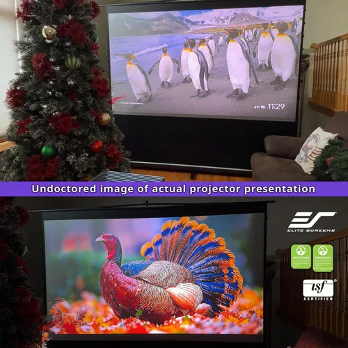 Miniatura 9 de Elite Screens ezCinema 2, 70 pulgadas 16:9, pantalla de proyector de suelo manual con tijeras, portátil para cine en casa, oficina, aula, con bolsa