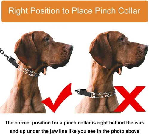 Miniatura 4 de Collar de punta para perro, collar de entrenamiento ajustable para perros con hebilla de liberación rápida para perros pequeños, medianos y grandes