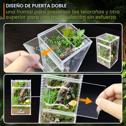 Miniatura 5 de MYGIIKAKA Accesorios de caja de araña saltadora, caja de araña de tarántula, jaula para insectos, recinto de hábitat de mantis rezando, terrario