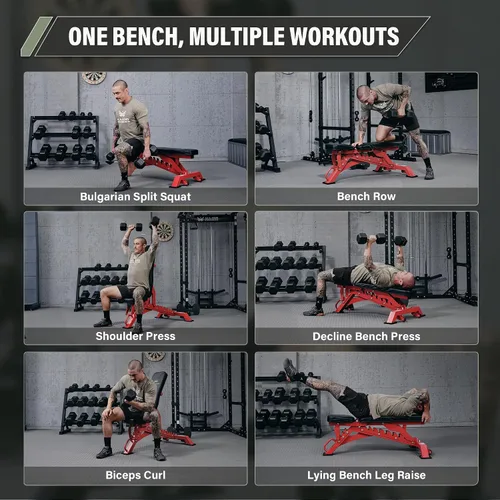 Miniatura 7 de MAJOR FITNESS Banco de pesas, banco de entrenamiento ajustable para entrenamiento de fuerza, prensa de banco y entrenamientos de cuerpo completo