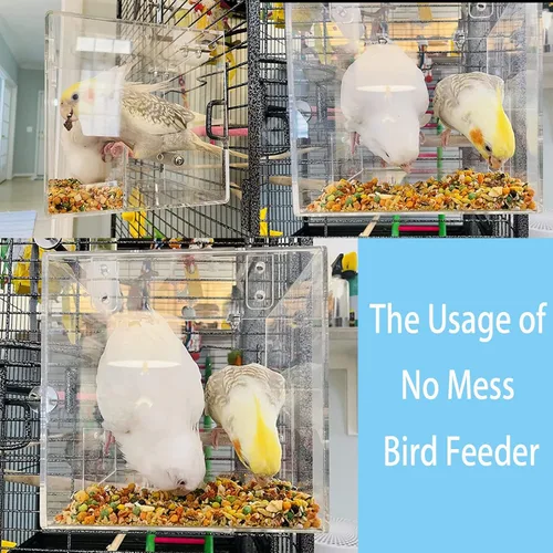 Miniatura 2 de Comedero para pájaros sin desorden para jaula – Comedero automático para pájaros, contenedor de comida transparente, acrílico sin derrames, jaula