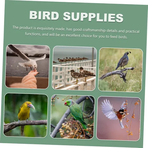 Miniatura 5 de 4 unids Semicírculo Contenedor de Comida de Loro Comedero Plástico Pájaros Alimentador Jaula de Pájaros Tazón Contenedor Tazón Loro Alimentador Pet