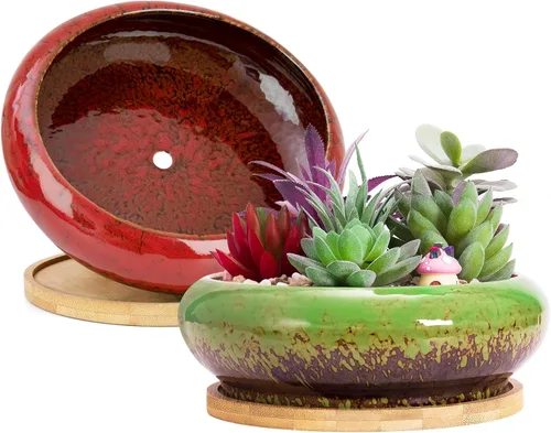 Miniatura 7 de ARTKETTY Macetas para suculentas de 7.3 pulgadas con drenaje, paquete de 2, macetas poco profundas para bonsái con bandeja de cerámica para plantas