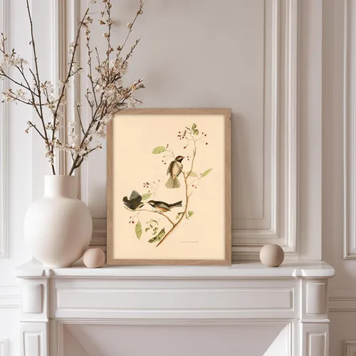 Miniatura 5 de Poster Master Póster Vintage de Titmouse Canadiense - Impresión Retro de Aves de América - Arte de Aves - Regalo para Hombres, Mujeres y Amantes