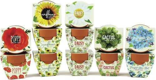 BUZZY Seeds Mini macetas de terracota paquete de 12 con semillas de plantas, amapola, girasol, margarita, cactus y no me olvides, kit de inicio de