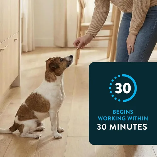 Miniatura 4 de Capstar (Nitenpyram) Tratamiento oral de pulgas de acción rápida para perros de 2 a 25 libras, tabletas de medicamentos recomendadas por