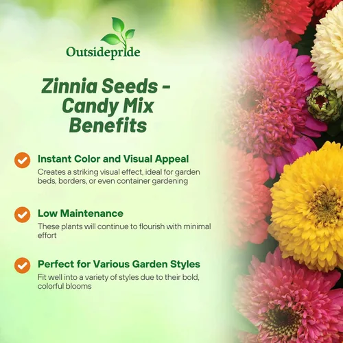 Miniatura 3 de Outsidepride - Zinnia Elegans, 200 semillas anuales, Candy Flower Seed Mix, mezcla de semillas de flores para plantar