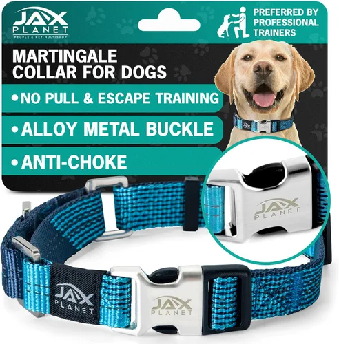 Miniatura 10 de Collar Martingale para perros, collar de entrenamiento para perros sin tirones y antideslizante, nailon resistente para caminar activamente, hebilla