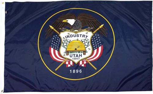 Miniatura 60 de FlagSource Bandera del estado de nailon de Iowa, fabricada en los Estados Unidos, 4 x 6 pies Iowa 4x6