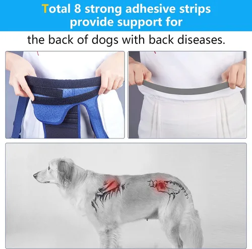 Miniatura 3 de Coodeo Soporte de espalda para perros para artritis, soporte de espalda para mascotas para IVDD, protector de espalda ayuda a aliviar el dolor, Azul