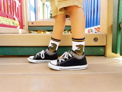 Miniatura 3 de Calcetines de dinosaurio para niños y niñas de 4 a 6 años y 7 a 10 años de edad 4 años de edad juego de regalo pequeño capitán