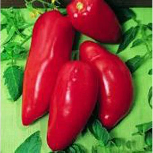 Semillas de tomate Opalka (45 semillas) Semillas para plantar, granja, cultivo en jardín, invernadero, vegetales, frutas