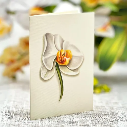 Miniatura 6 de Freshcut Paper Tarjetas desplegables, Serenity Orchid, ramo de flores eternas Forever Flower de tamaño real de 12 pulgadas, tarjeta de felicitación