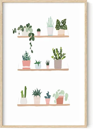 Miniatura 21 de HAUS AND HUES Arte botánico para pared, impresiones suculentas, póster moderno de plantas con diseño de invernadero para decoración del hogar
