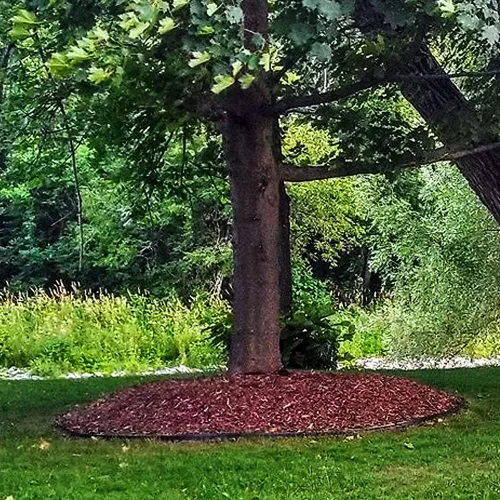 Miniatura 7 de Inslat Paquete de 60 estacas de jardín puntiagudas en espiral de plástico negro de 8 pulgadas para bordes de paisaje, adoquines, tiendas de campaña