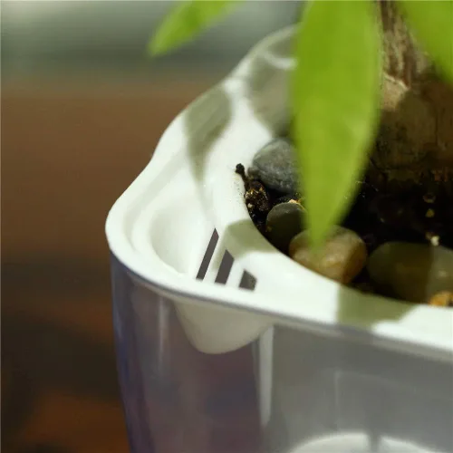 Miniatura 3 de FENGZHITAO - Maceta de riego automático, macetas de plástico transparente con riego automático, maceta cuadrada para todas las plantas de casa