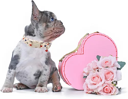Miniatura 5 de DOGWONG Collar de perro de San Valentín, collar de perro con estampado de corazones para perros grandes, lindos collares de primavera, hembra