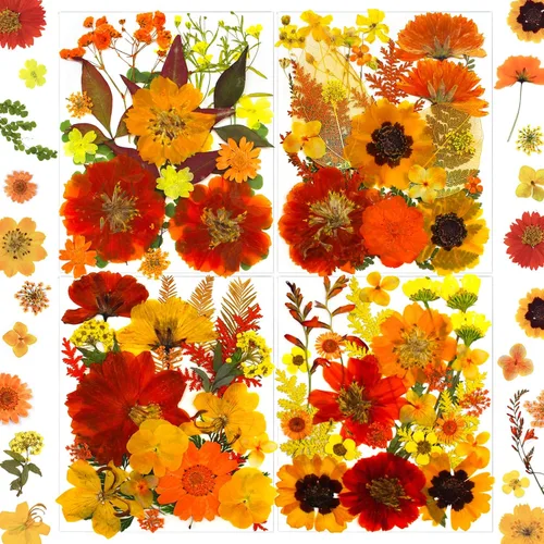 MIKIYA 90 piezas de flores secas prensadas de otoño para resina, hojas florales secas de color naranja natural a granel para manualidades, moldes