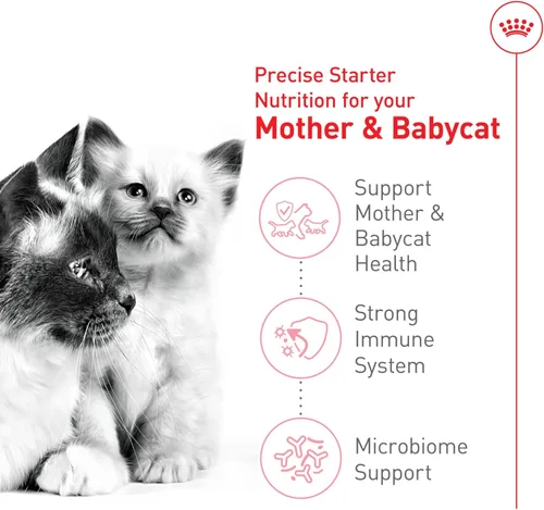 Miniatura 4 de Royal Canin Feline Health Nutrition Mother & Babycat Queen - Alimento seco para gatos, bolsa de 3 libras