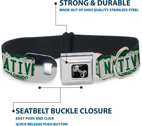 Miniatura 4 de Buckle-Down Collar de perro con hebilla para cinturón de seguridad, placa de matrícula de Colorado, 1 pulgada de ancho, se adapta a cuello de 15 a