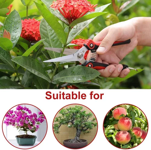 Miniatura 7 de WYF Tijeras de podar, tijeras de jardín profesionales, cuchillas rectas de acero inoxidable, podadora de mano afilada para jardinería para jardín