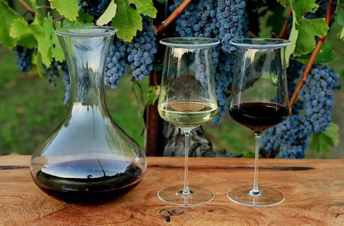 Miniatura 2 de Cubierta para copa de vino - Paquete de 4