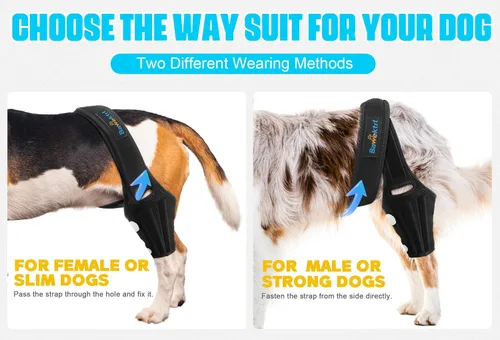 Miniatura 7 de Férula ACL para Perro para Luxación de Rótula en Pata Trasera, Soporte Ajustable de Pata Trasera para Perro para Dolor Articular, Dolor Muscular