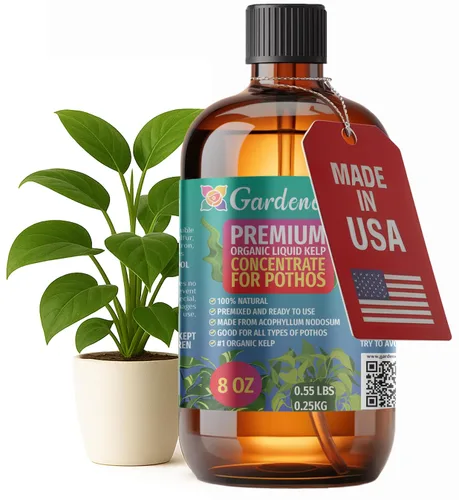 Miniatura 27 de GARDENERA Superalimento orgánico prémium de algas marinas y algas marinas para plantas AGLAONEMA, 8 onzas, concentrado de fertilizante líquido