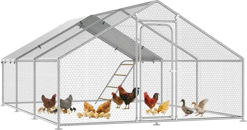 Miniatura 11 de Gallinero grande de metal para pollos con percha para posarse, gallinero de entrada para aves de corral, casa para patos, corral para pollos