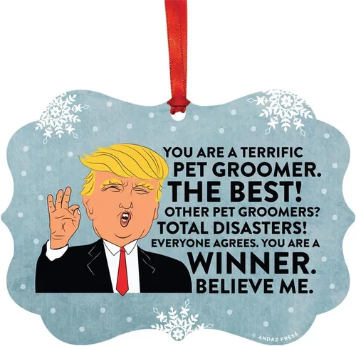 Miniatura 107 de Andaz Press Presidente Donald Trump Fancy Frame Recuerdo Adorno de Navidad Regalo de broma Ejecutivo de Cuenta, 1 paquete, Divertidas Ideas