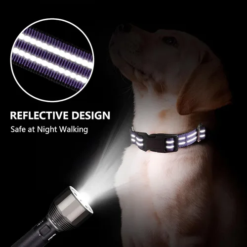 Miniatura 2 de Martingale - Collar para perro, collar reflectante de nailon ajustable con hebilla sin tirones, para perros pequeños, medianos y grandes (morado, L)