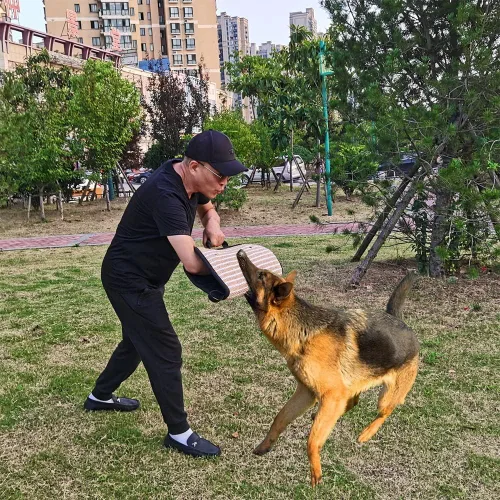 Miniatura 5 de Manga de mordedura de perro, brazo de entrenamiento, yute, masticable, juguete para K9, trabajo perro, pitbull, pastor alemán, cachorro, perros Negro