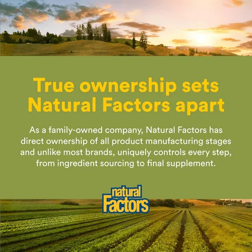 Miniatura 7 de HerbalFactors by Natural Factors, Hoja de Olivo 500 mg, Fórmula Natural de Bienestar, 60 Cápsulas