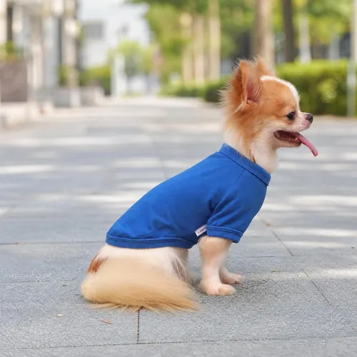 Miniatura 5 de LOPHIPETS Camiseta para Perro 100% Algodón para Perros Pequeños Teacup Chihuahua Yorkie Ropa para Cachorros-Azul/S
