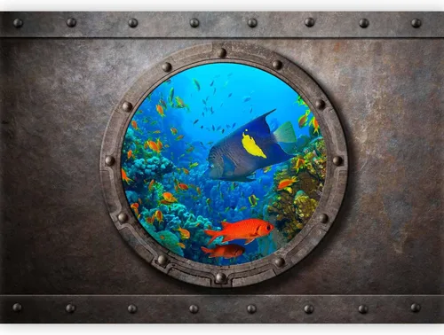 Miniatura 9 de artgeist Mural de pared premium mundo submarino, 98 x 69 pulgadas, papel tapiz no tejido XXL, decoración de pared de vellón, impresión fotográfica