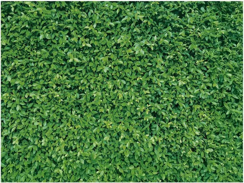 Mixweer Telón de fondo de pared de hojas verdes de 8 x 10 pies, fotografía 3D de hierba vegetal, naturaleza, fondo de tela de poliéster para