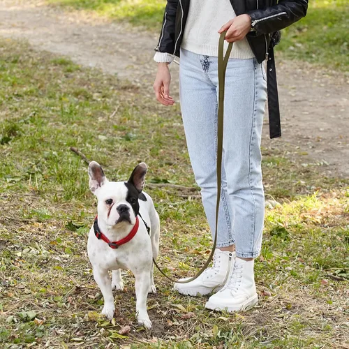 Miniatura 7 de Dogline Biothane - Correa impermeable para perro, correa de nailon tejido con revestimiento fuerte, con herrajes negros, a prueba de olores, fácil