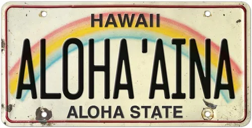 ALOHA AINA - Letrero decorativo retro vintage de Hawaii en relieve de recuerdo, no para uso en vehículos