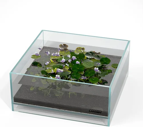 Miniatura 29 de LANDEN 25C 3.7 Galones Cubo Tanque de Acuario Sin Montura de Hierro Bajo, W9.84×D9.84×H9.84 pulg(25x25x25cm) 5mm de Grosor con Almohadilla