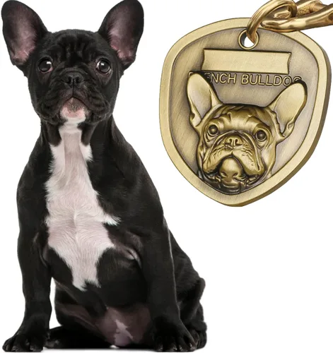 Miniatura 2 de Etiquetas personalizadas para perros bulldog inglés y francés para mascotas, placa de identificación de nombre de perro grabada personalizada