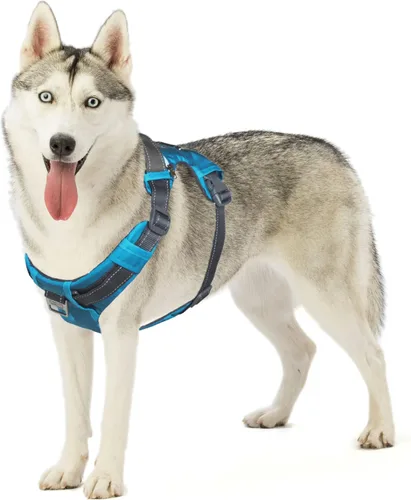 Miniatura 20 de Outward Hound Boulder Adventure - Arnés ajustable para perro con bolsillos, turquesa, mediano
