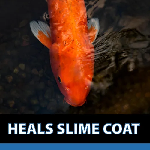 Miniatura 7 de CrystalClear ParaSalt - Sal de estanque para Koi y Goldfish - 10 libras de golosinas de hasta 2,000 galones (CC158-10)