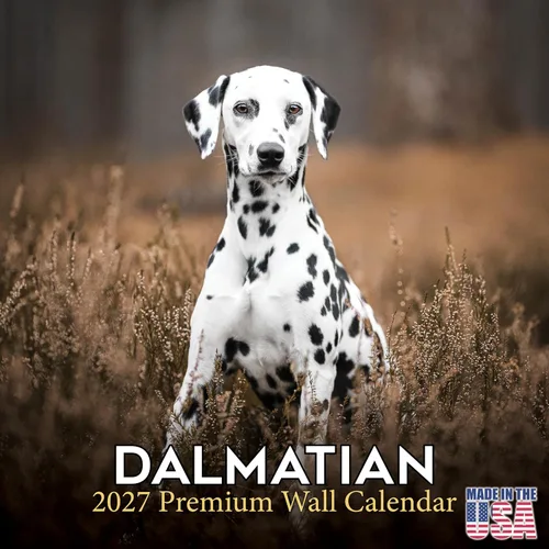 Miniatura 117 de Calendario 2025 2026 de cachorros Cocker Spaniel - Calendario mensual de pared de raza de perro - 12" x 24" abierto - Papel grueso sin sangrado