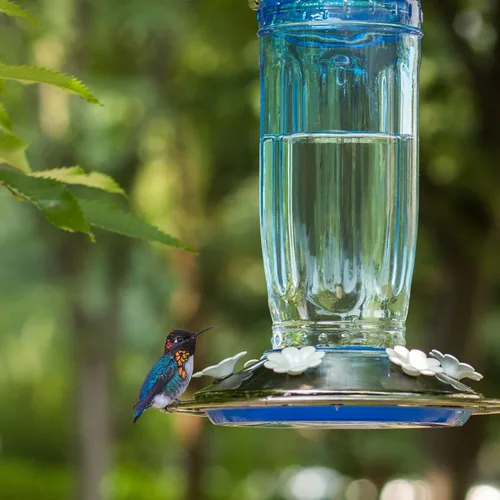 Miniatura 2 de Kingsyard - Comedero de vidrio para colibríes para exteriores, comedero para pájaros silvestres con 6 puertos de alimentación para colgar en jardín