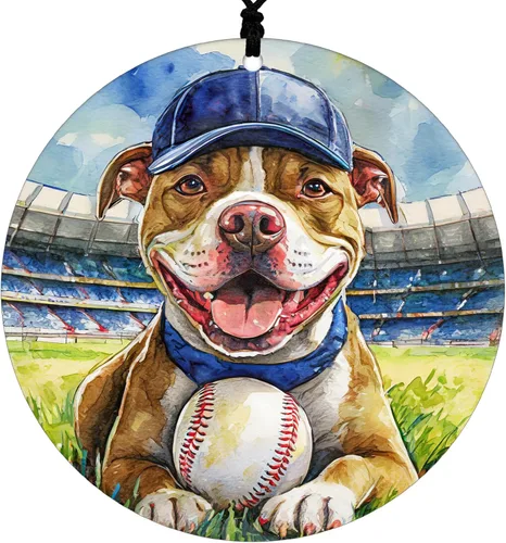 Adorno de Navidad de Pitbull - Adorno colgante deportivo para el hogar con diseño temático de béisbol - Adorno de disco acrílico 2025 para árbol -