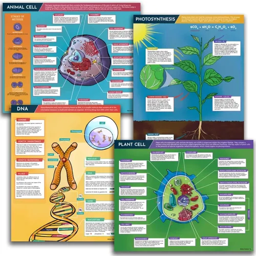 Hubble Bubble Kids Carteles de ciencia para decoración de aulas: 4 carteles de biología incluyen póster de ADN, fotosíntesis, células vegetales y