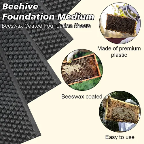 Miniatura 2 de BeeCastle 10 hojas de base con marco de colmena negra recubierta de cera de abejas, hojas de base enceradas, base mediana de 5-5/8 pulgadas