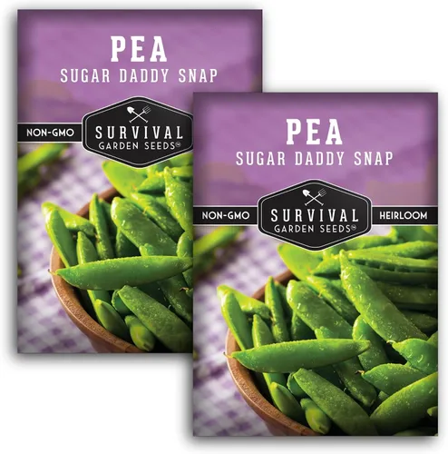 Survival Garden Seeds - Semilla de guisante Sugar Daddy Snap para plantar - 2 paquetes con instrucciones para plantar y cultivar en deliciosas